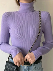 Women Fall Turtleneck Sweater