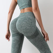 Push Up Booty Workout  Tights
