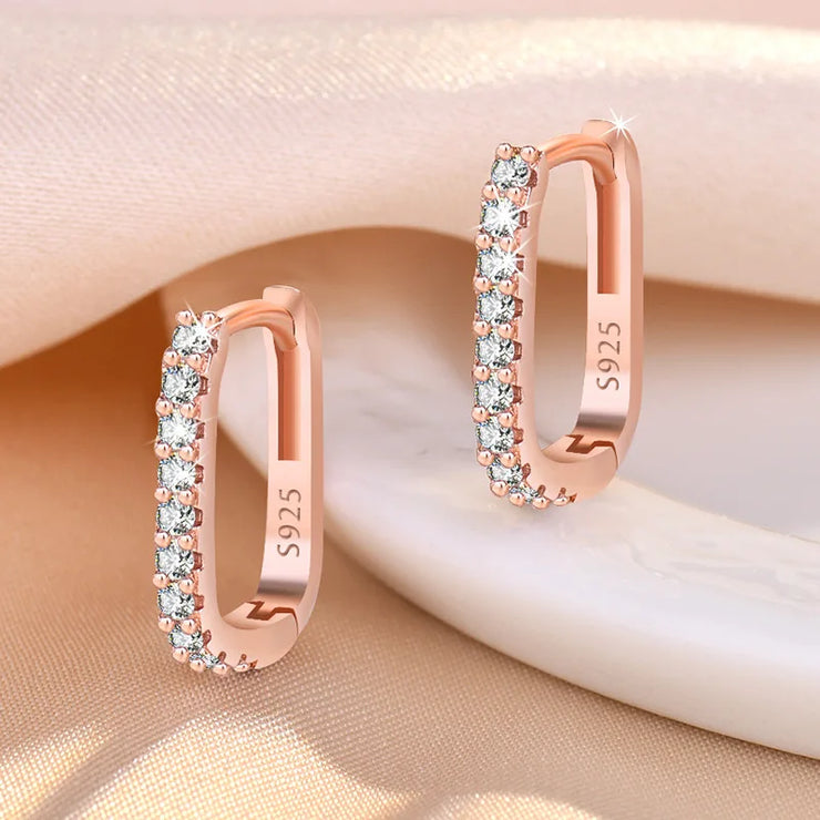 925 Sterling Silver Crystal  Zircon Circle Earrings For Woman.